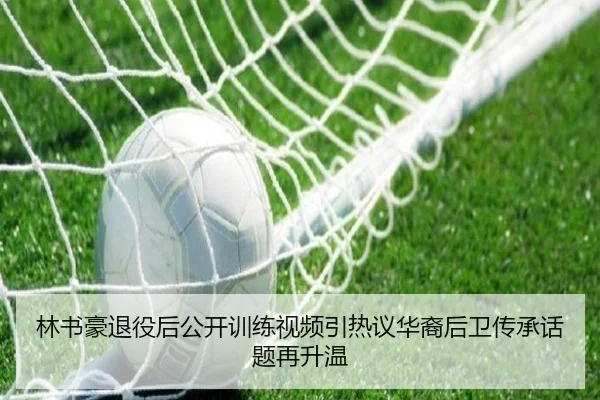 林书豪退役后公开训练视频引热议华裔后卫传承话题再升温